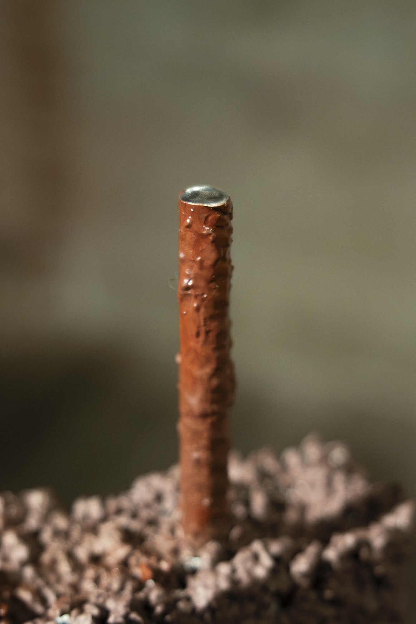 rebar, painted with an iron oxide linseed oil paint with a shiny tip.